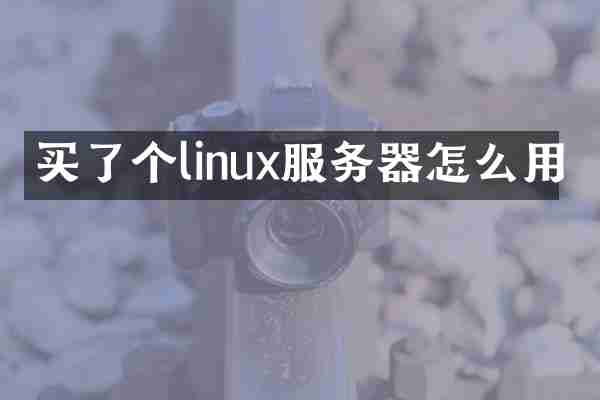 买了个linux服务器怎么用
