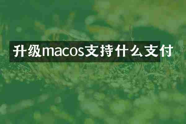 升级macos支持什么支付