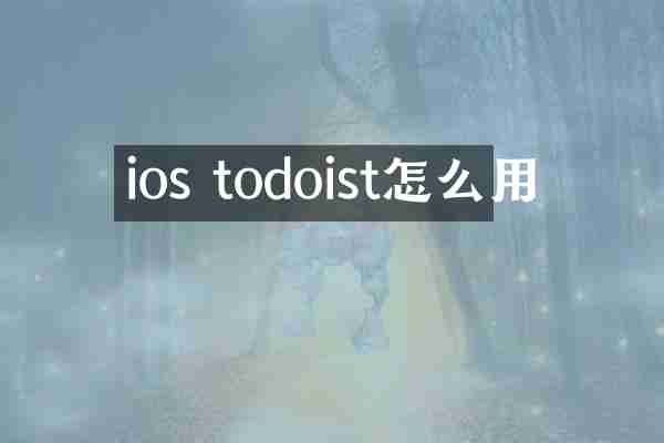 ios todoist怎么用