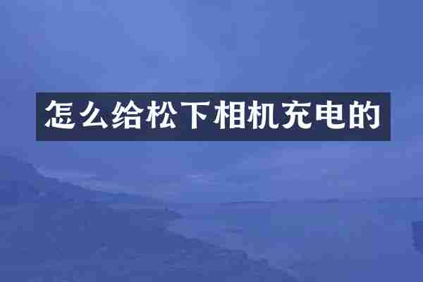 怎么给松下相机充电的