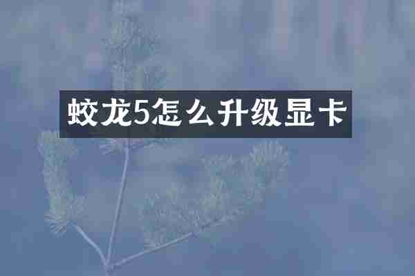 蛟龙5怎么升级显卡