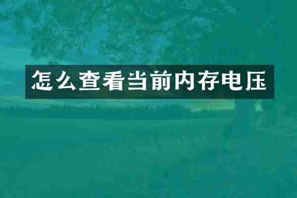 怎么查看当前内存电压