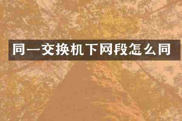 同一交换机下网段怎么同