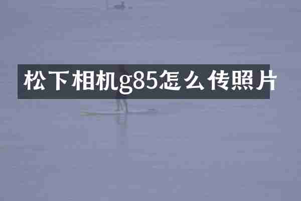 相机g85怎么传照片