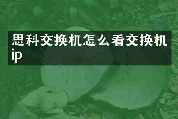 思科交换机怎么看交换机ip