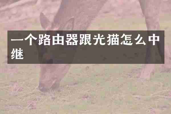一个路由器跟光猫怎么中继