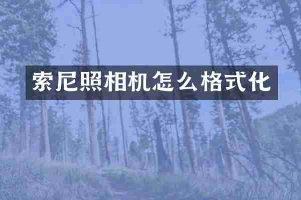 索尼照相机怎么格式化