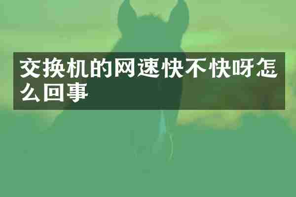 交换机的网速快不快呀怎么回事