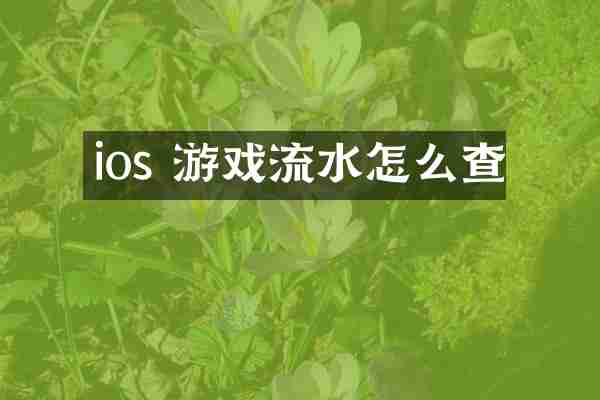ios 游戏流水怎么查