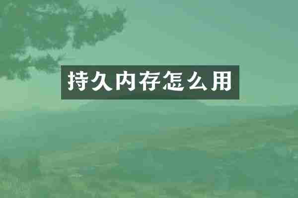 持久内存怎么用