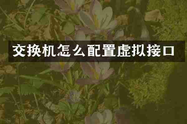 交换机怎么配置虚拟接口