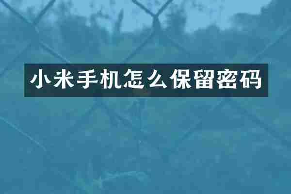 小米手机怎么保留密码