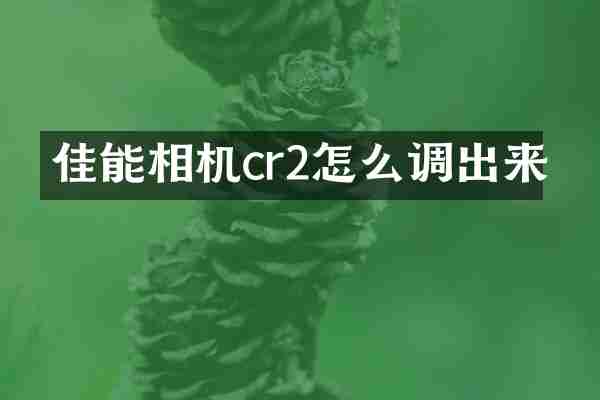 佳能相机cr2怎么调出来