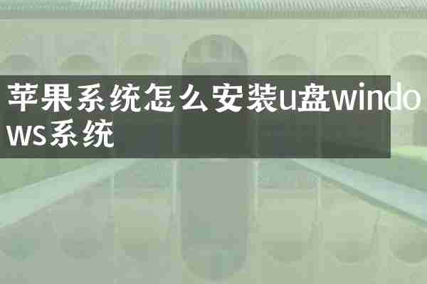 苹果系统怎么安装u盘windows系统