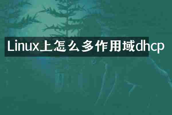 Linux上怎么多作用域dhcp