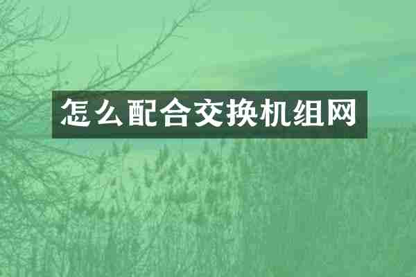 怎么配合交换机组网