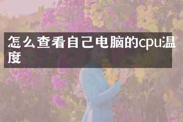 怎么查看自己电脑的cpu温度