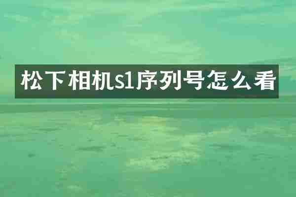 松下相机s1序列号怎么看