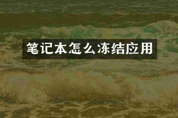 笔记本怎么冻结应用
