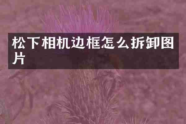 松下相机边框怎么拆卸图片