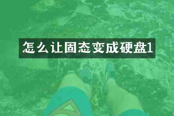 怎么让固态变成硬盘1