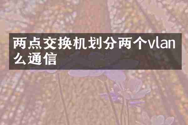 两点交换机划分两个vlan怎么通信