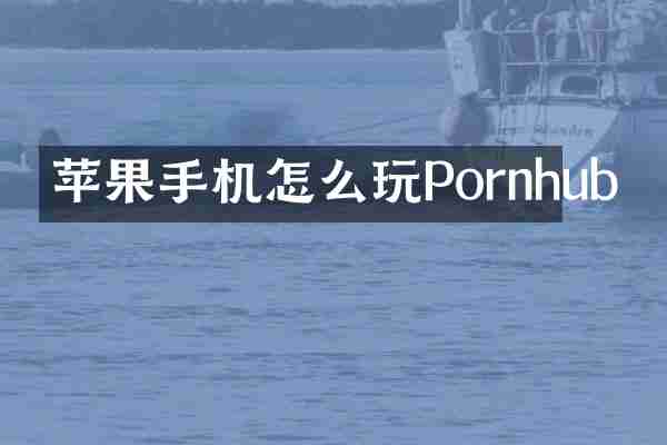 苹果手机怎么玩Pornhub