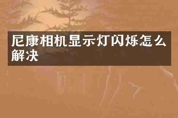 尼康相机显示灯闪烁怎么解决