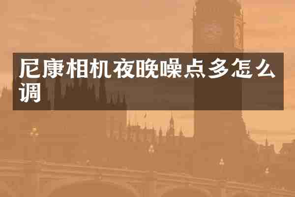 尼康相机夜晚噪点多怎么调