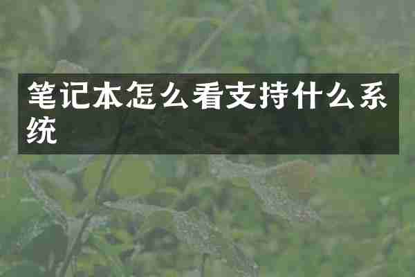 笔记本怎么看支持什么系统