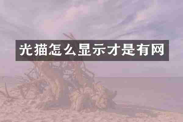 光猫怎么显示才是有网