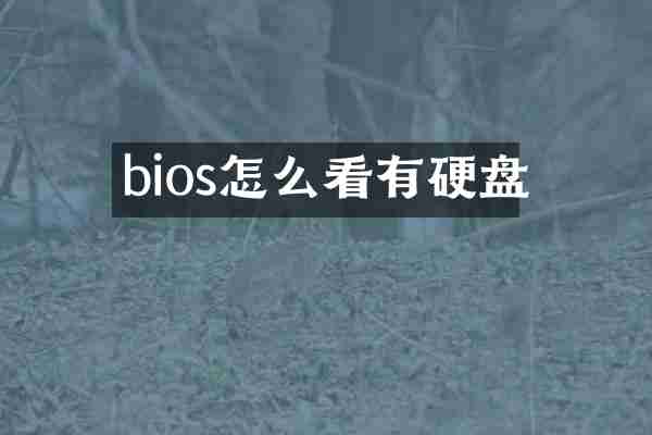 bios怎么看有硬盘