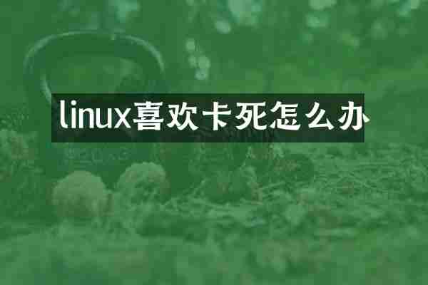 linux喜欢卡死怎么办