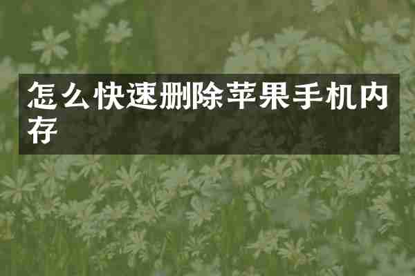 怎么快速删除苹果手机内存