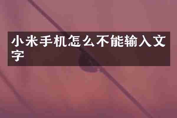 小米手机怎么不能输入文字