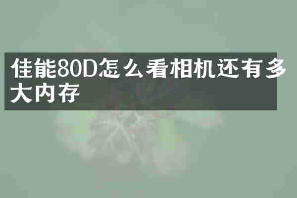 佳能80D怎么看相机还有多大内存