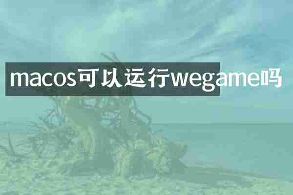macos可以运行wegame吗