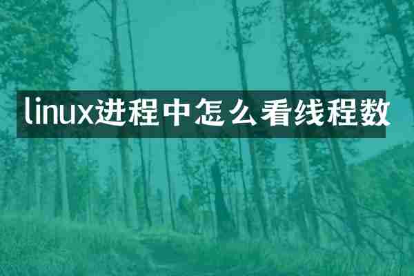linux进程中怎么看线程数