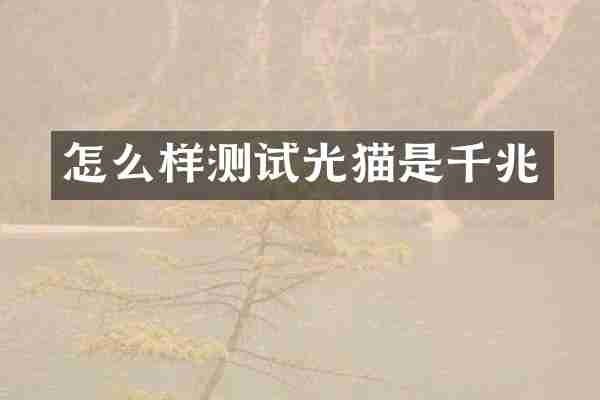 怎么样测试光猫是千兆