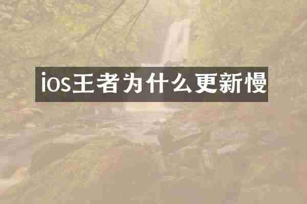 ios王者为什么更新慢