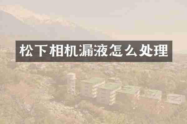 松下相机漏液怎么处理