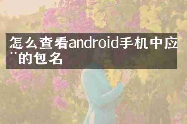 怎么查看android手机中应用的包名