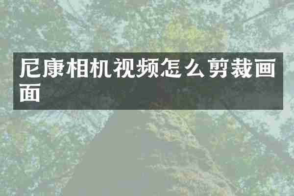 尼康相机视频怎么剪裁画面