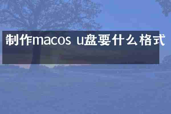 制作macos u盘要什么格式化