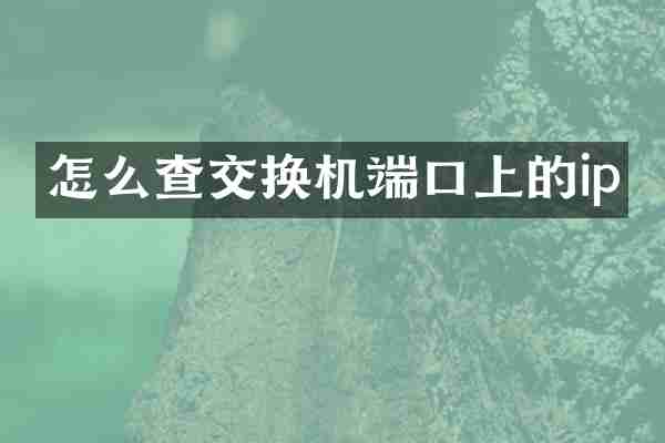 怎么查交换机端口上的ip