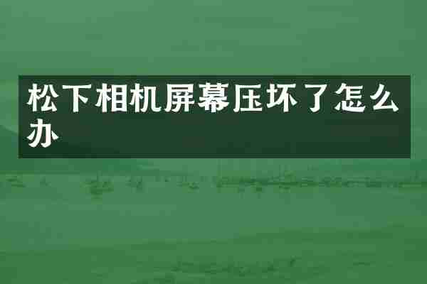 松下相机屏幕压坏了怎么办
