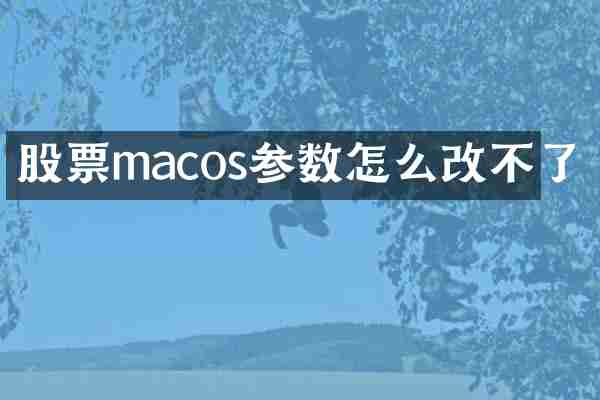 股票macos参数怎么改不了