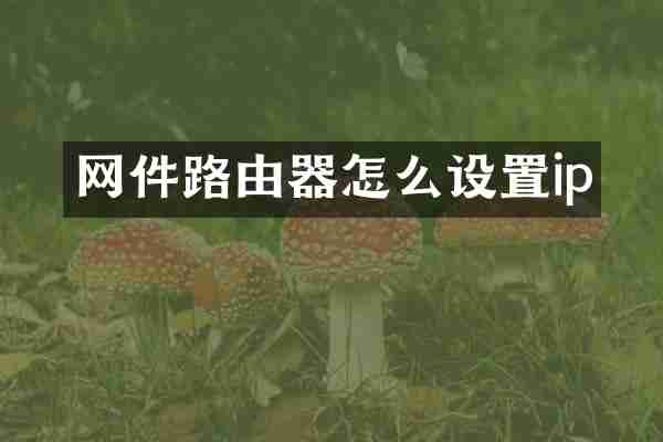 网件路由器怎么设置ip