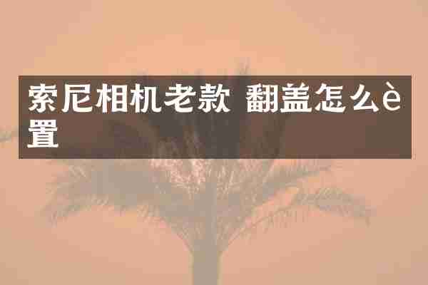 索尼相机老款 翻盖怎么设置