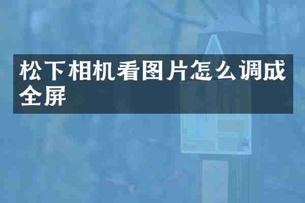 松下相机看图片怎么调成全屏